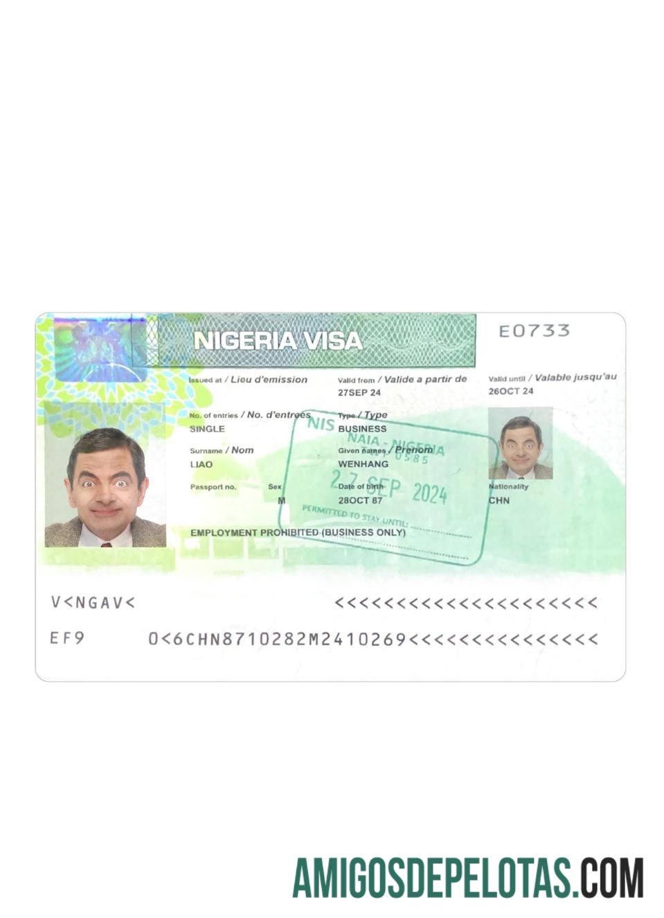 Visto Nigéria 2024 presente baixar para verificação